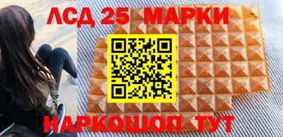гидра Будённовск