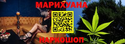 гидра Будённовск