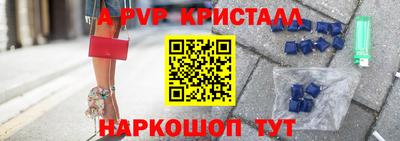 гидра Будённовск