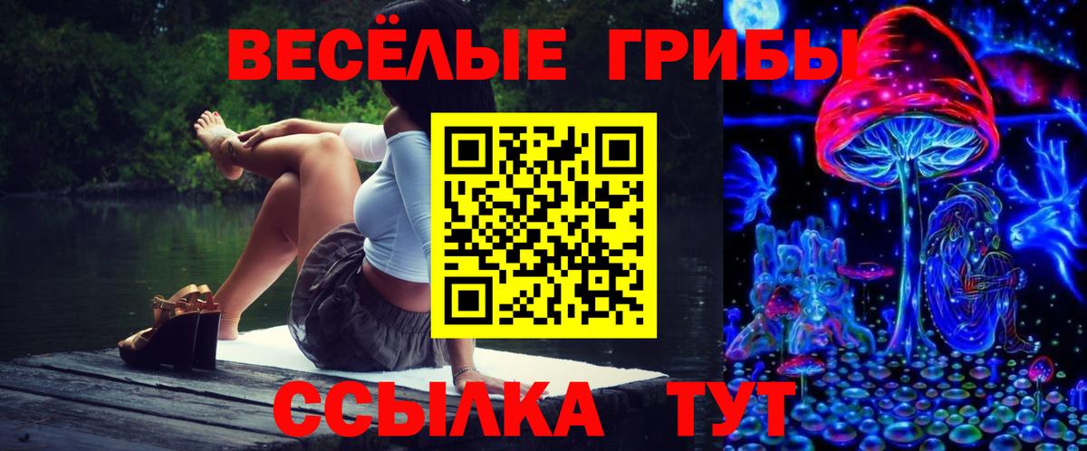 Прохладный  Псилоцибиновые грибы GOLDEN TEACHER  Вход с VPN  Псилоцибиновые грибы мицелий 
